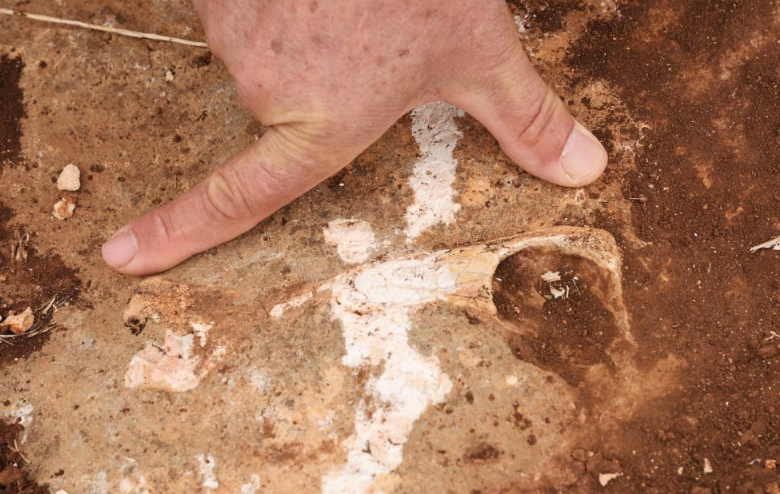 Görsel 2025 12 23 110600942