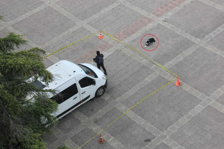 Görsel 2025 12 29 164727137