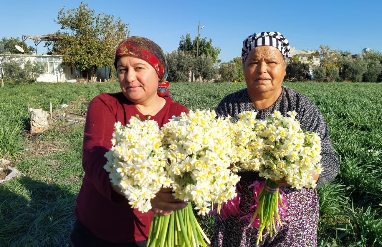 M E R S I N D E N E R G I S L E R E R K E N A C T I B O G U M U 3 1067089 316657