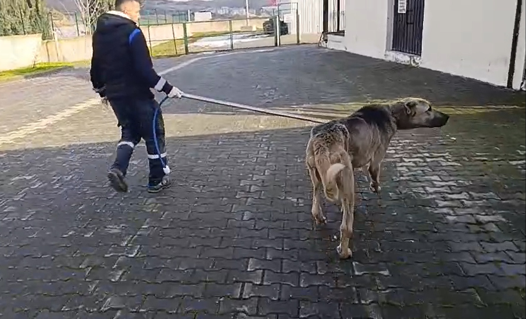 O T O M O B I L E I P L E B A G L A N I P C E K I L E N K O P E K B 1086577 322475