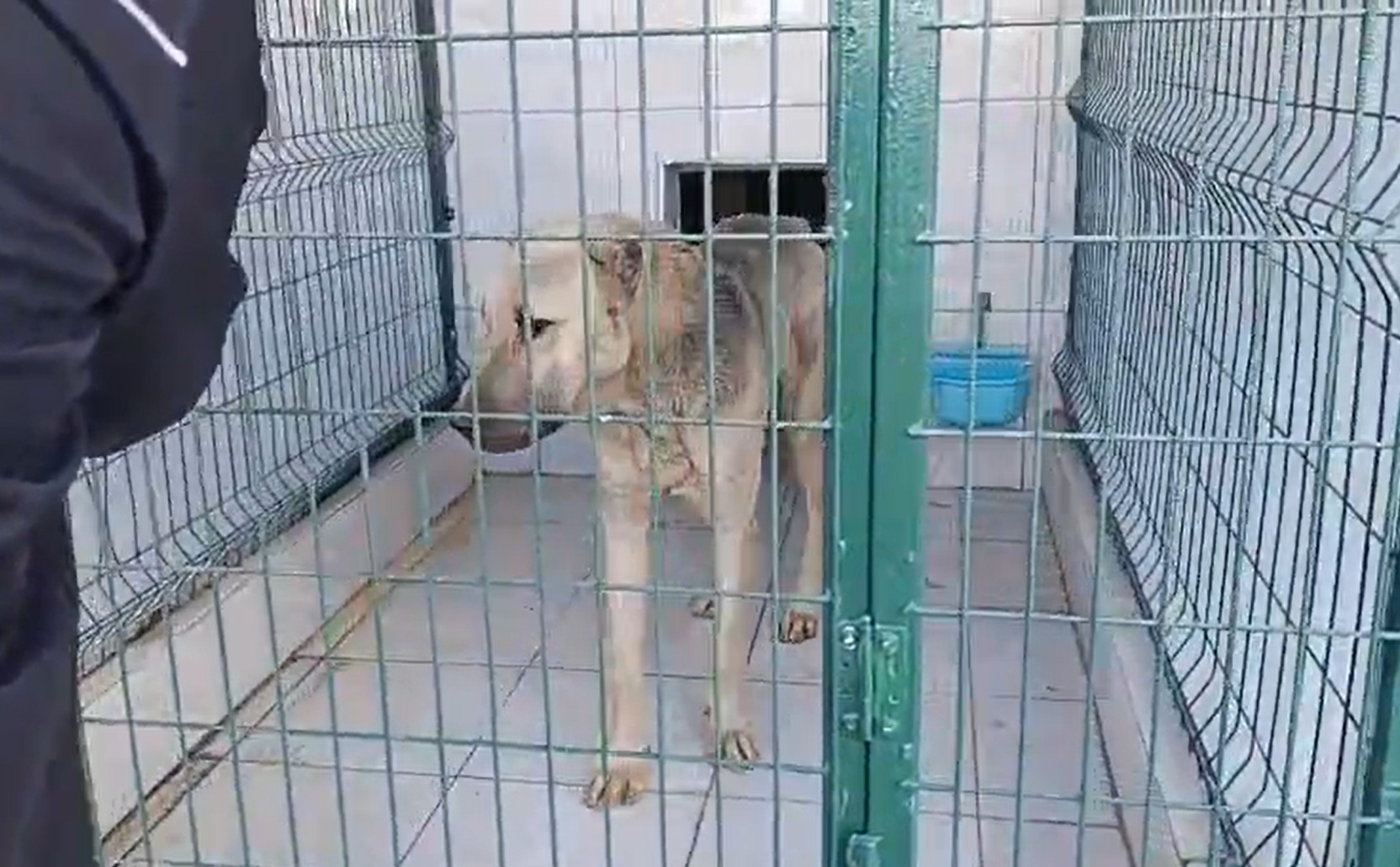 O T O M O B I L E I P L E B A G L A N I P C E K I L E N K O P E K B 1086578 322475