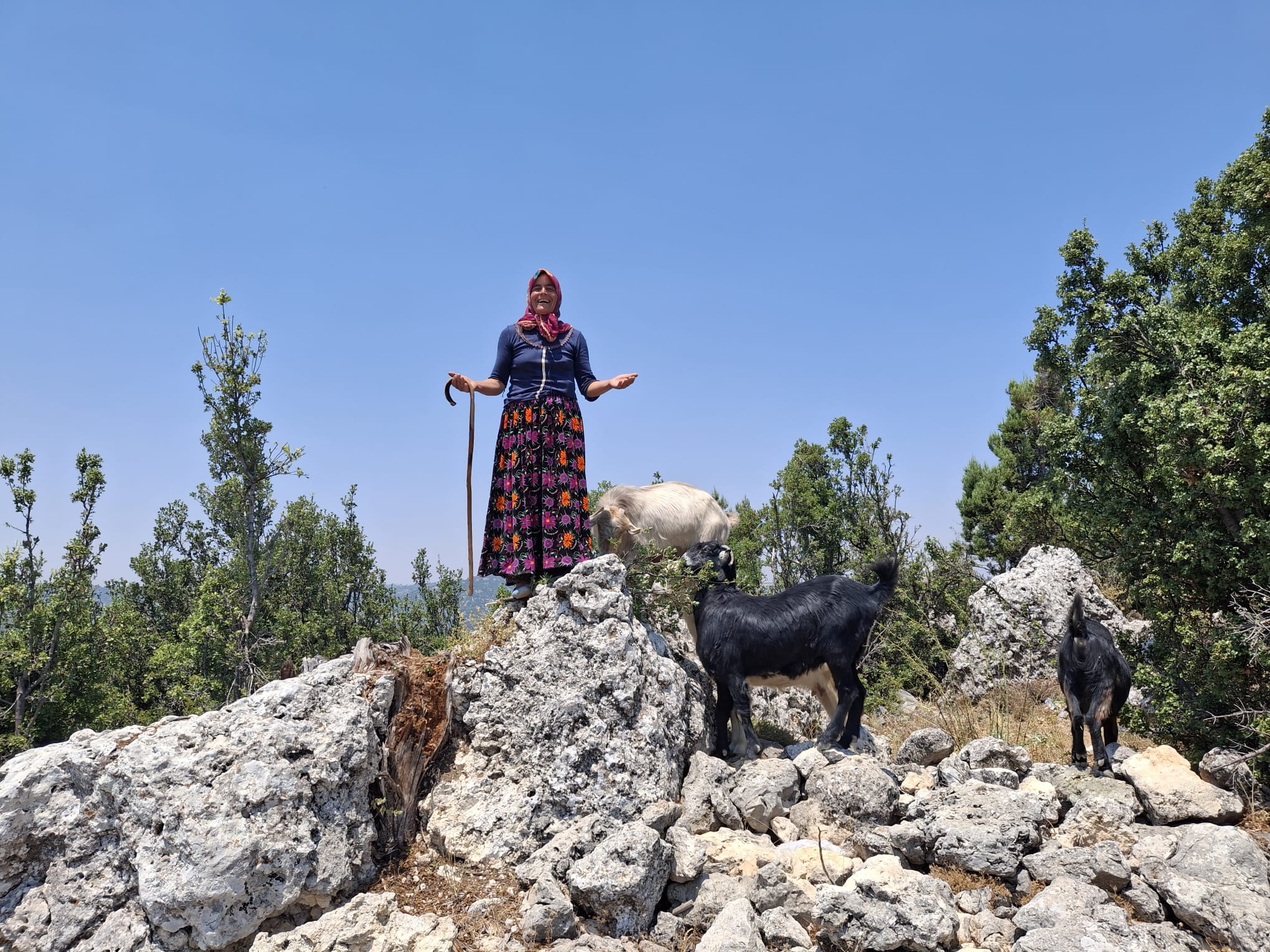 S A R I K E C I L I Y O R U K L E R I N D E V E L I K I S Y U R D U 1041619 309093