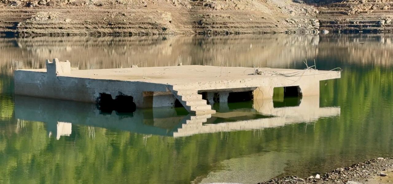 Whatsapp Image 2025 12 03 At 12.16.53