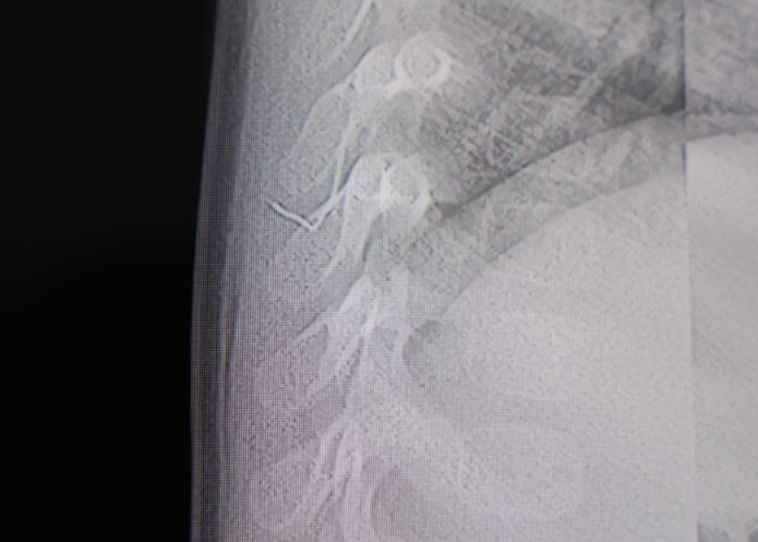 Ekran Görüntüsü 2026 01 30 125525