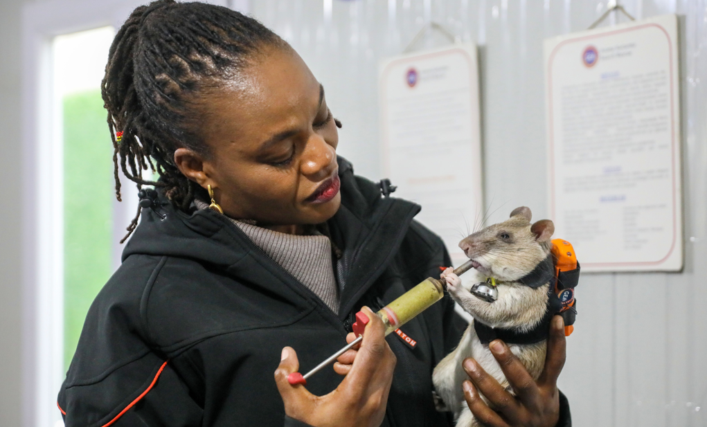 Görsel 2026 01 08 150815330