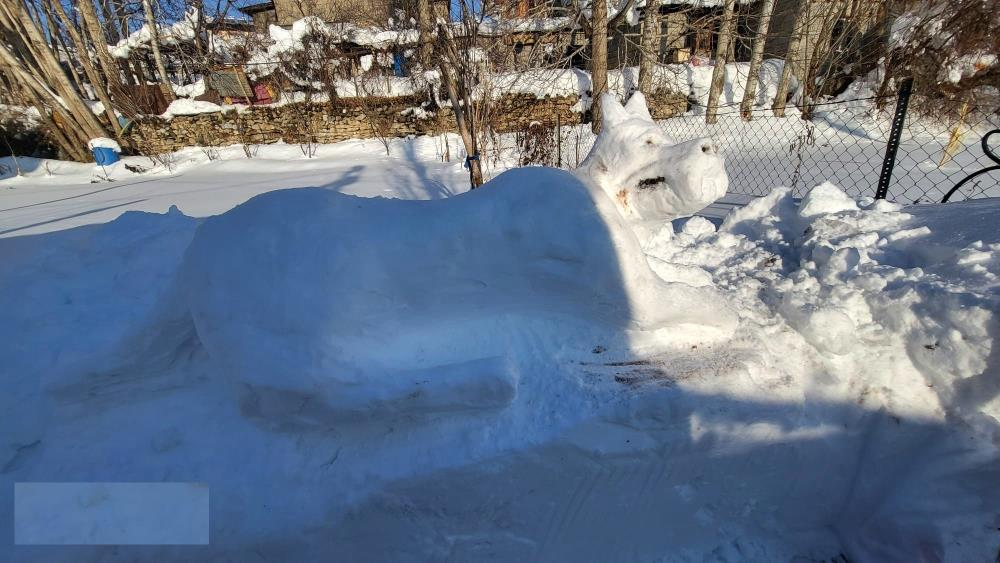 Görsel 2026 01 12 104514769