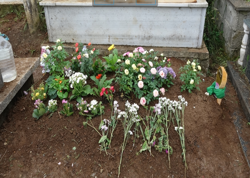 Görsel 2026 01 28 131839164