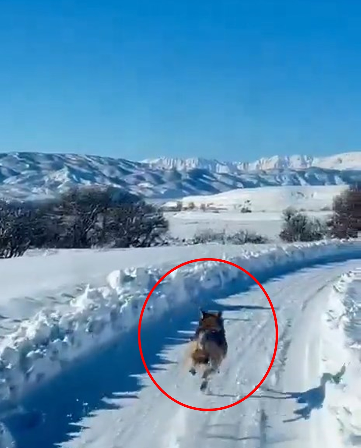 K A R L I Y O L D A P A L E T L I A M B U L A N S I N O N U N D E N K 1094666 324897