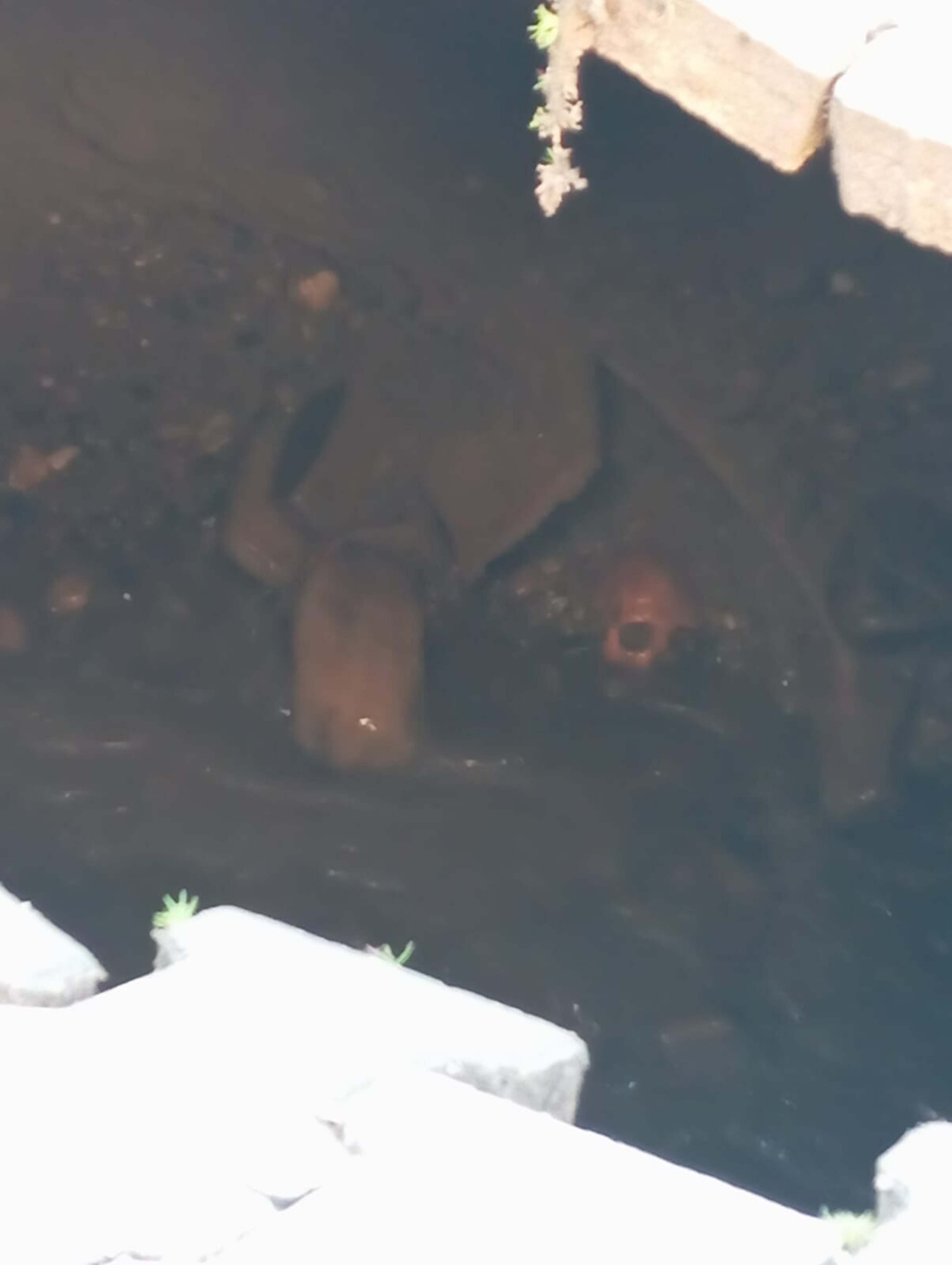 M A N I S A D A C O K E N Y O L D A I N S A N K A F A T A S I V E 1105364 328126