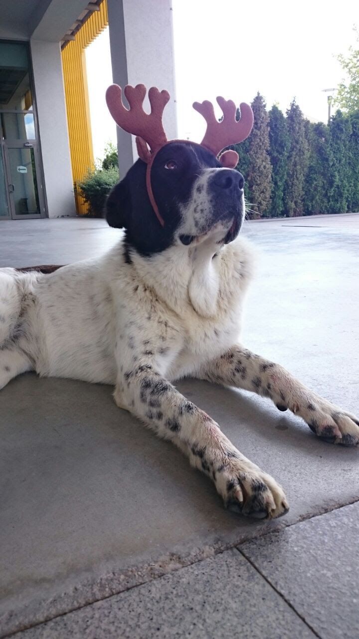 M A T M A Z E L I N D A R B E D I L E R E K O L D U R U L D U G U I D 1098970 326209-1