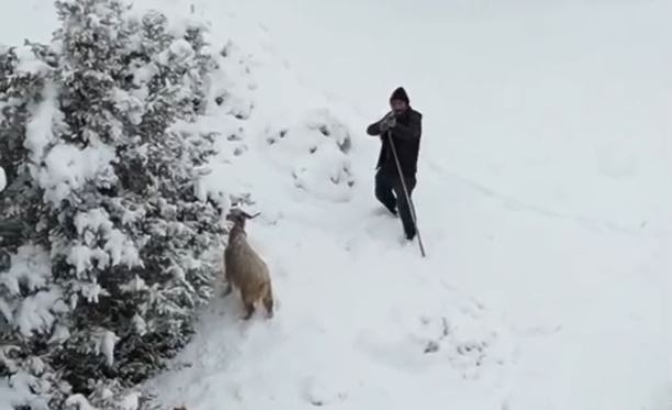 N A L L I H A N’ D A C O B A N G O R D U G U D R O N A T U F E K D 1128098 334874