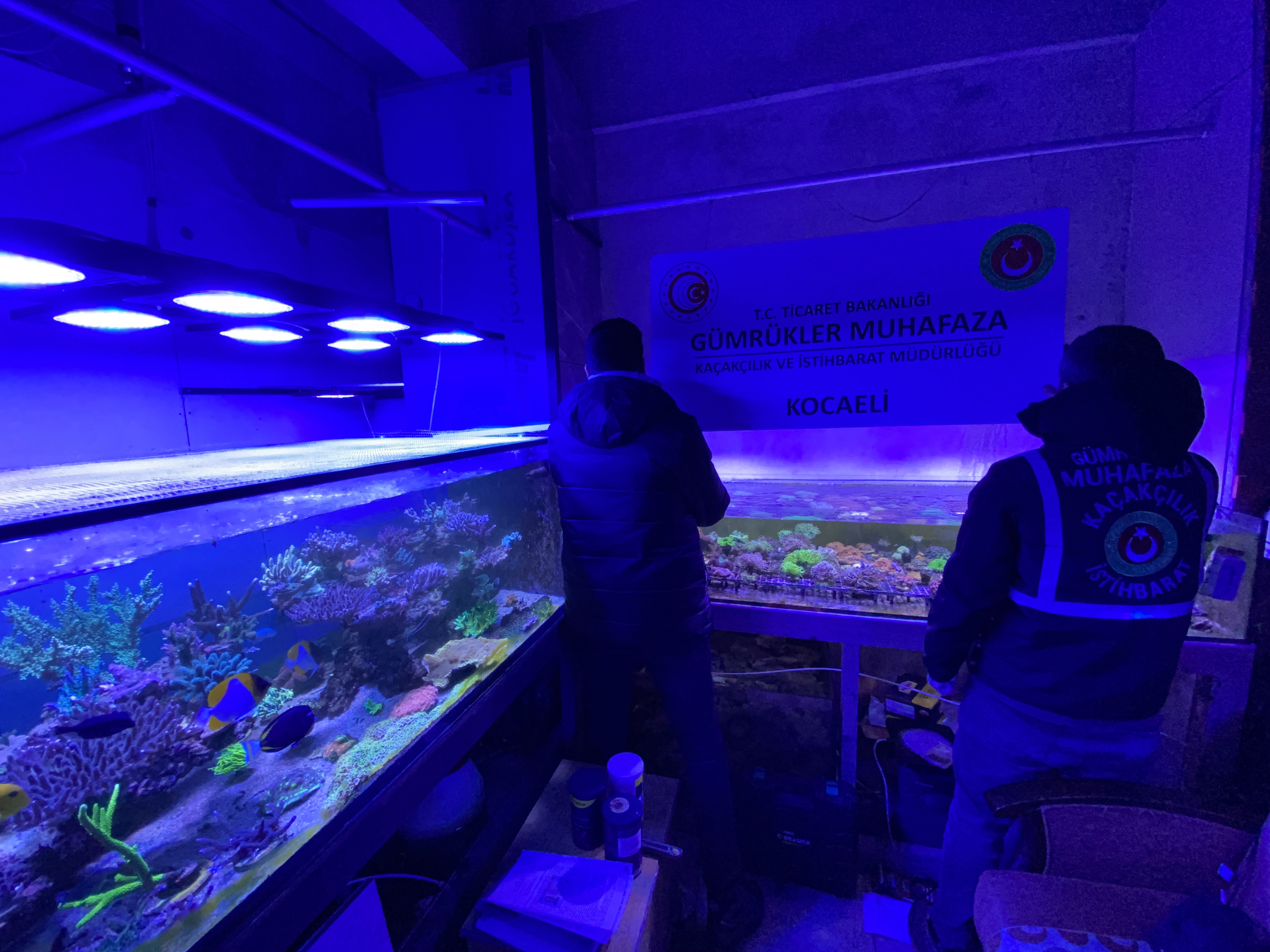 A A 20260215 40559648 40559642 T I C A R E T B A K A N L I G I E K I P L E R I G E C E N Y I L K A C A K G I R I S I M K A P S A M I N D A 85 B I N D E N F A Z L A C A N L I H A Y V A N E L E G E C I R D I