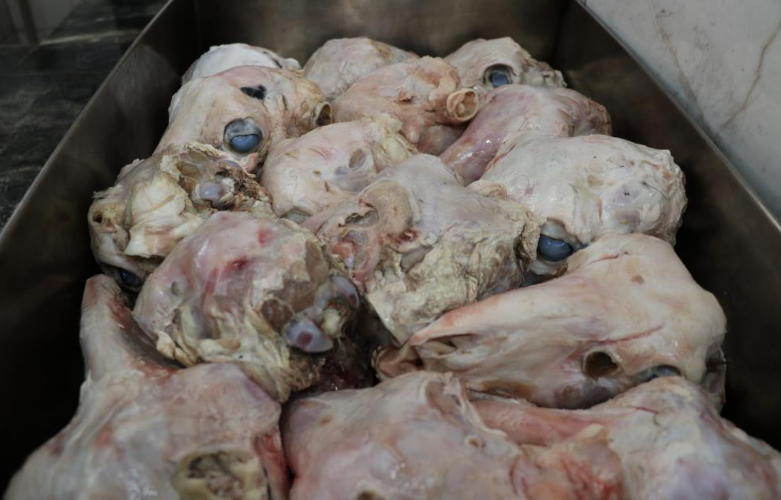 Görsel 2026 02 18 164711719