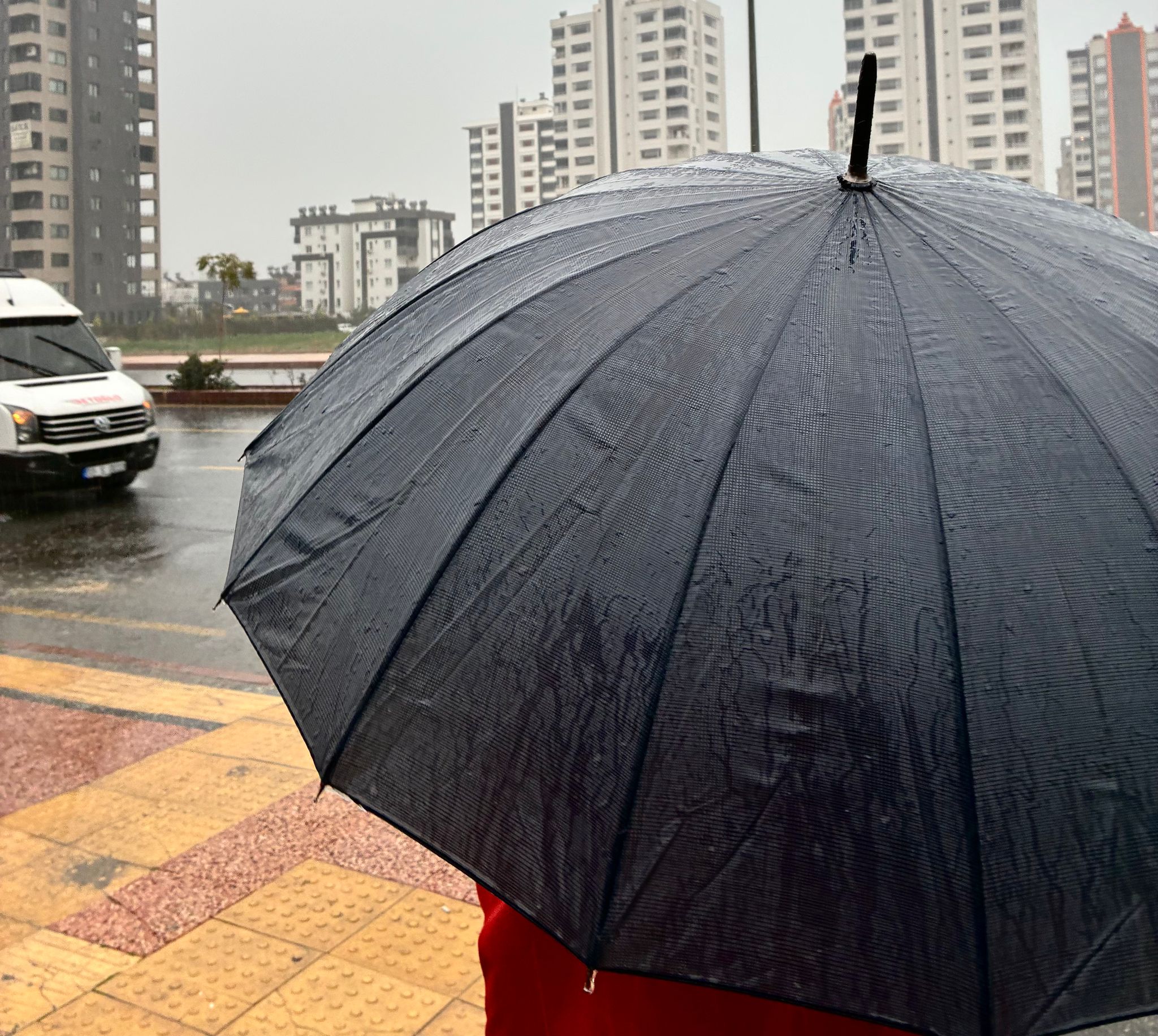 Whatsapp Image 2026 02 12 At 16.47.03