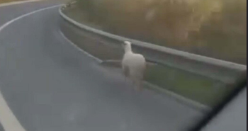 Ekran Görüntüsü 2026 03 04 164401