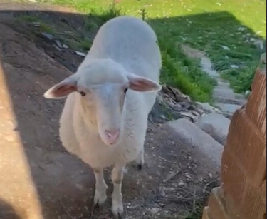 Görsel 2026 03 04 164351376