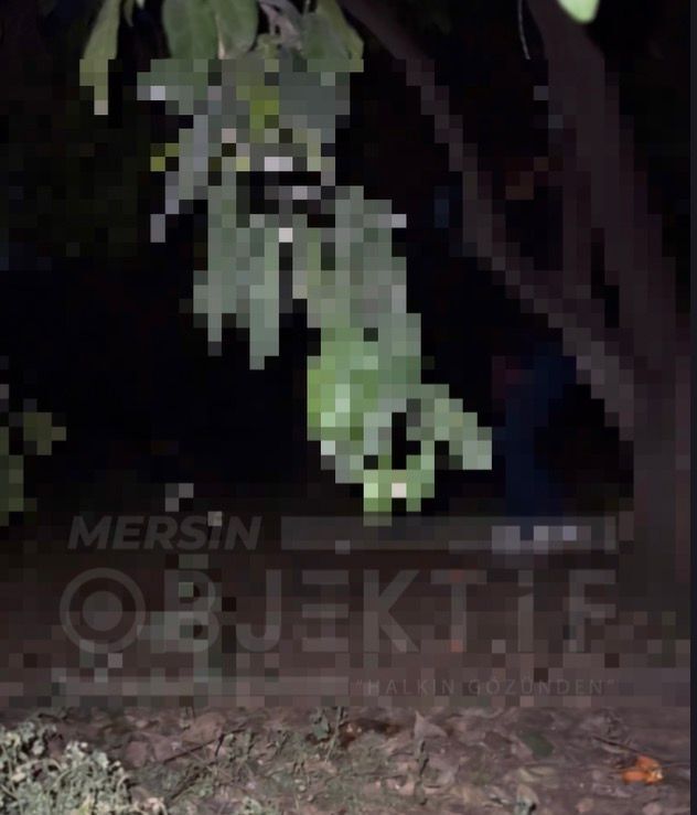 Whatsapp Image 2026 03 09 At 20.08.26