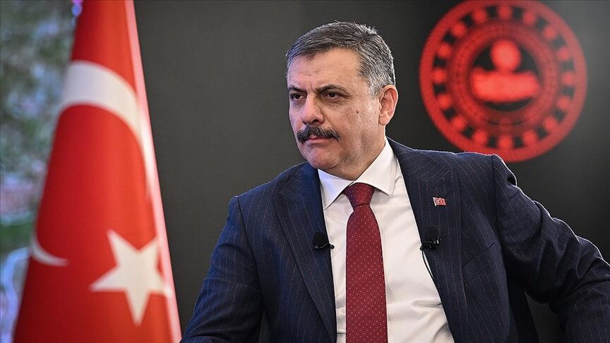 Bakan Çiftçi: "Yıl başına kadar sokak köpeklerinin hepsini barınaklara toplatacağım"