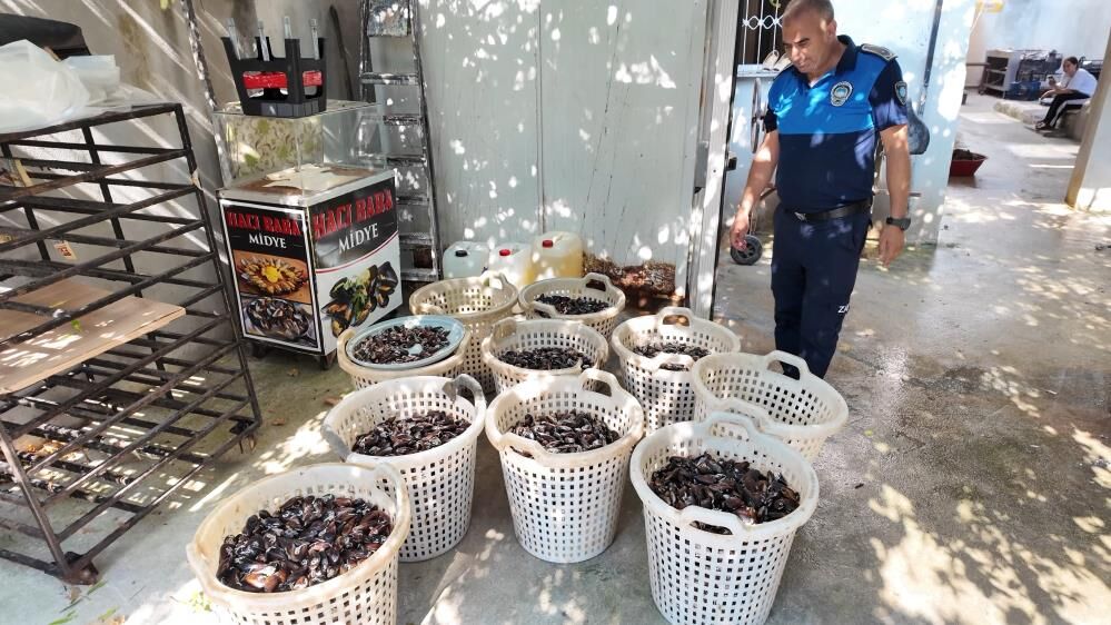 Mersin'de 200 kilo bozuk midye dolması ele geçirildi
