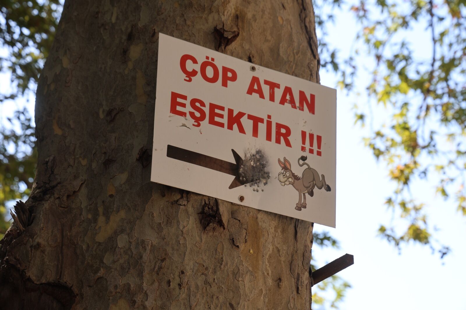 Mesire alanındaki çöp sorununa 'Çöp atan eşektir' yazılı tabelayla tepki